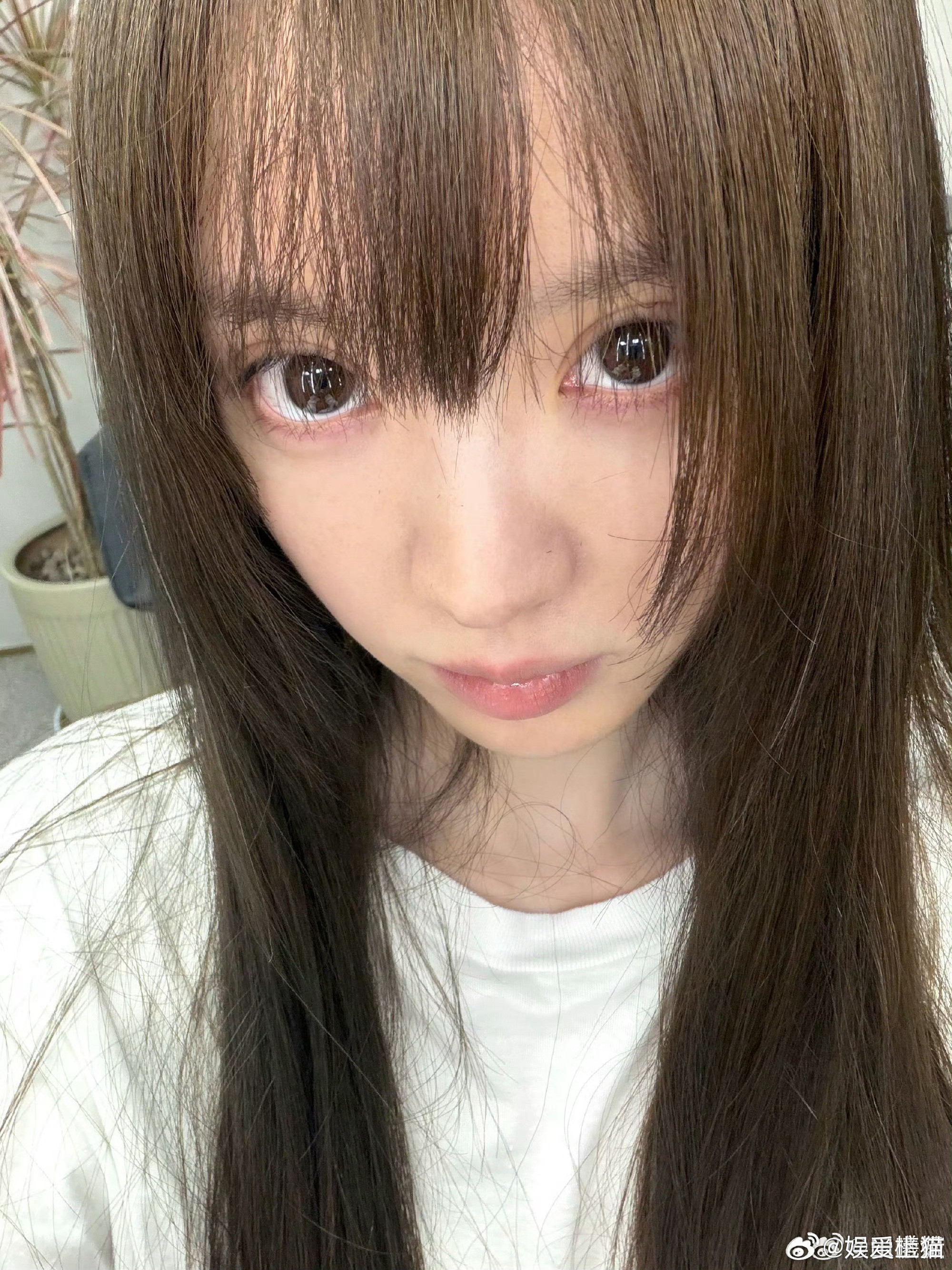 田曦薇染了新发色，咋样适合她吗