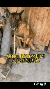 这套系统好用，就是有点费馒头