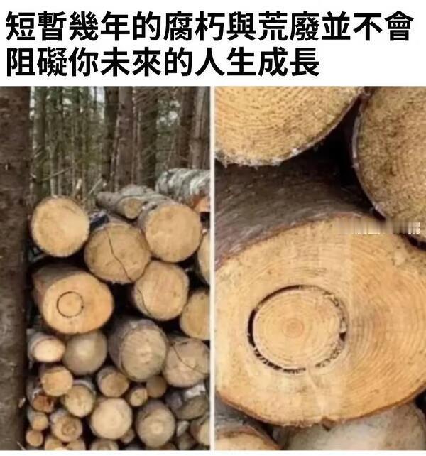 一些温柔暖心的meme梗图