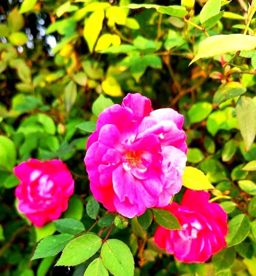 总有人追问“唐僧”何必呢？等到百亿富豪的儿子赵勇站出来，说这辈子由我来担着，哑