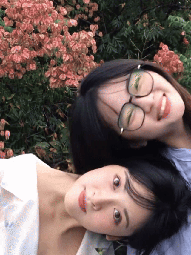 建议大家学习沈月的友情观打破“友情必须对等”的执念，沈月认为：信任是底色，付出