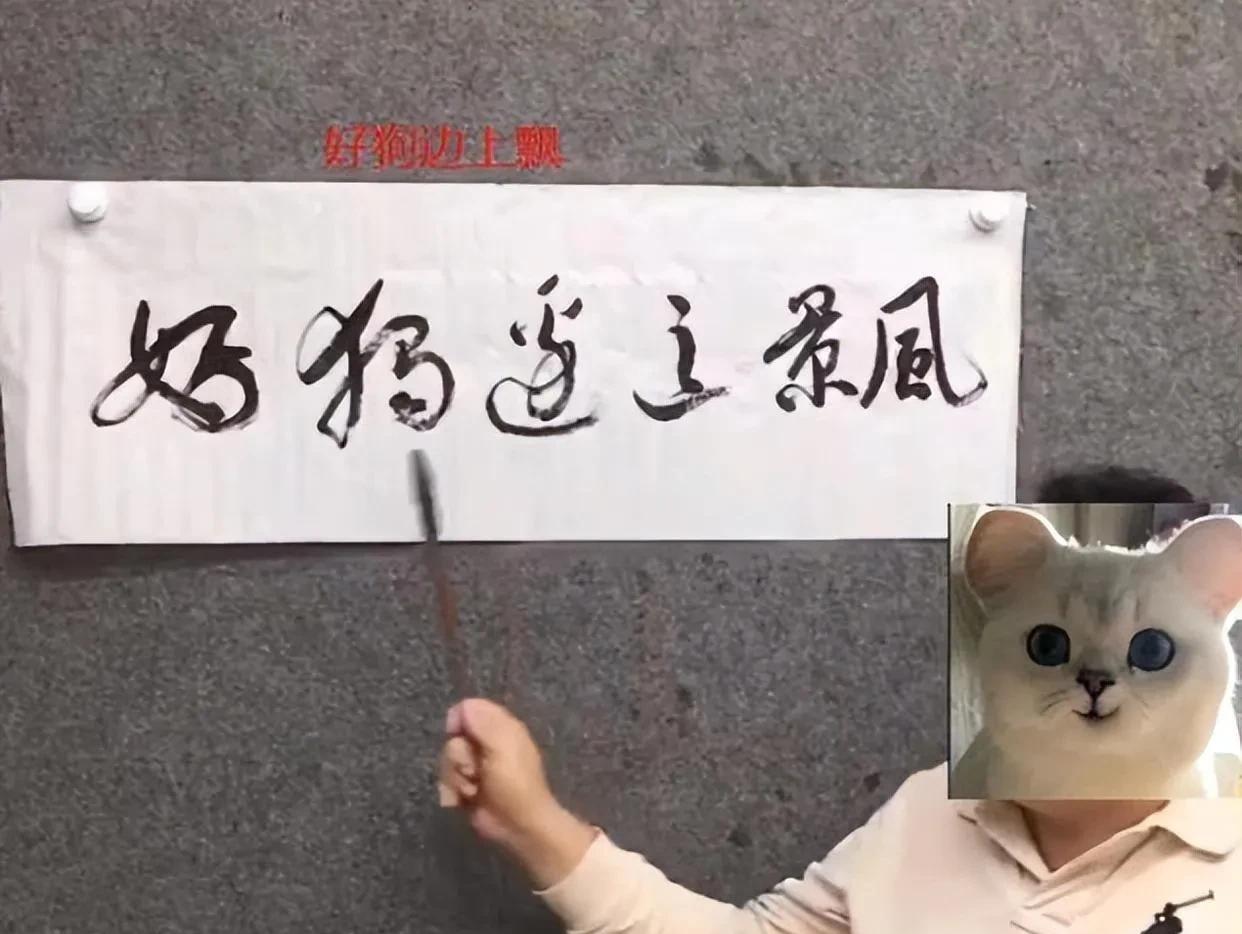 你知道这是什么字吗？有点像是“好狗边上飘”，大家说对不对？第2幅字是什么呢