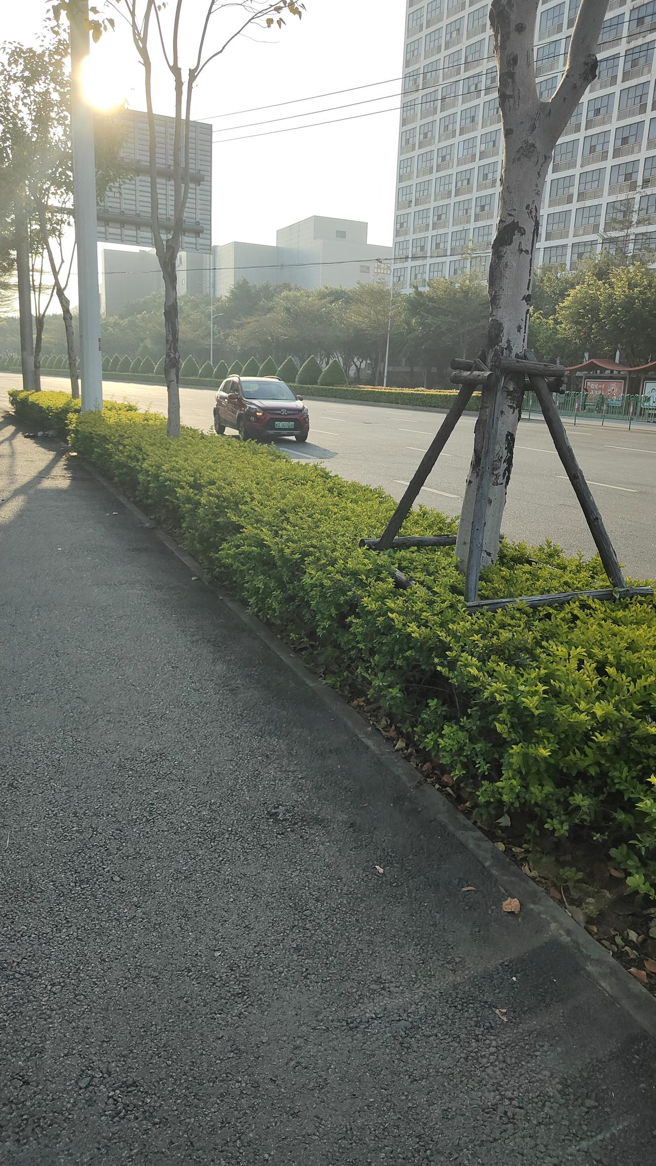 大白天的开灯干嘛？又不是看不到路也没雾啊