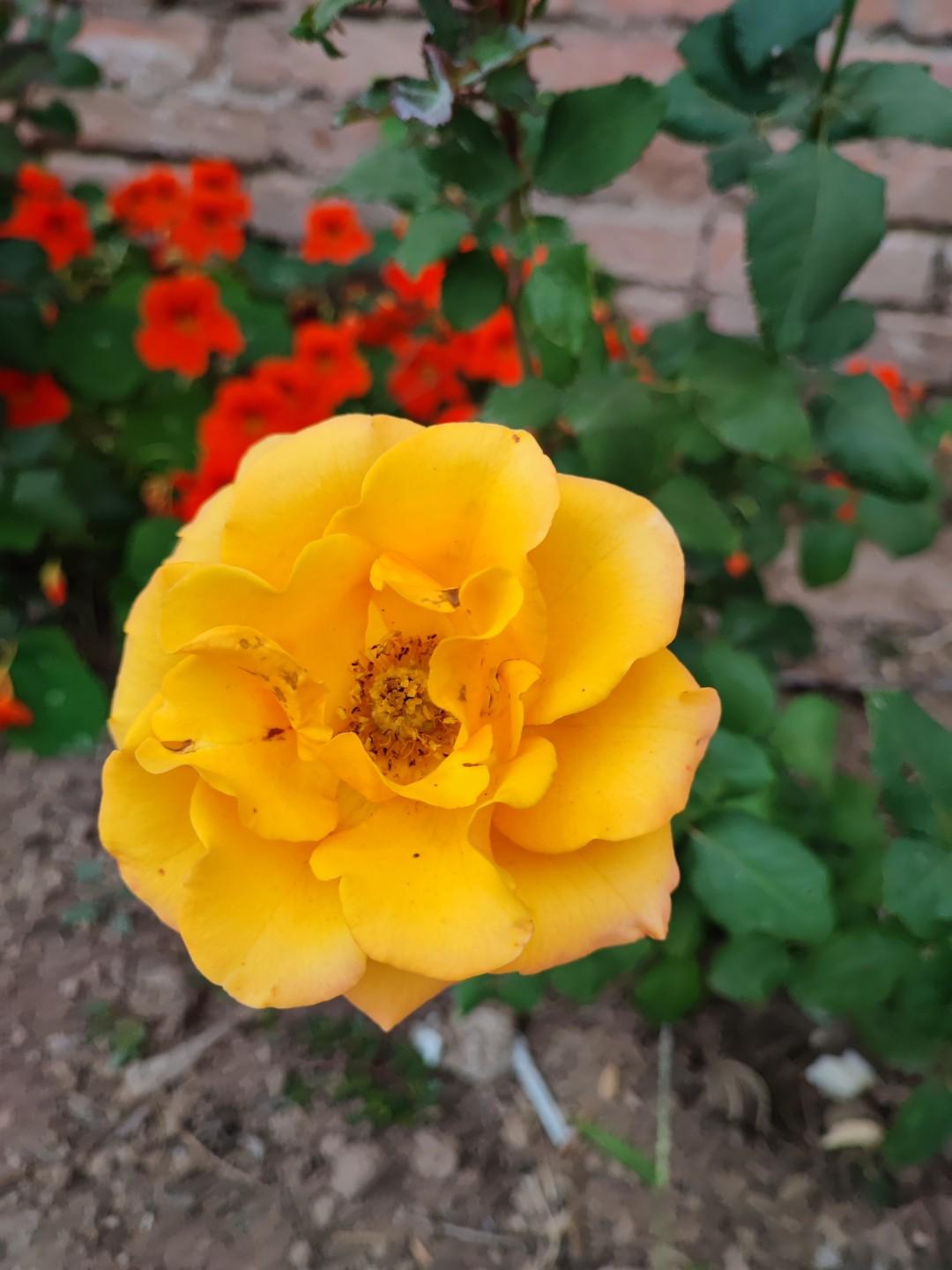 不生气的秘诀，记住了就是人生赢家！孩子惹你生气，你就默念：自己亲生的，脾气咋