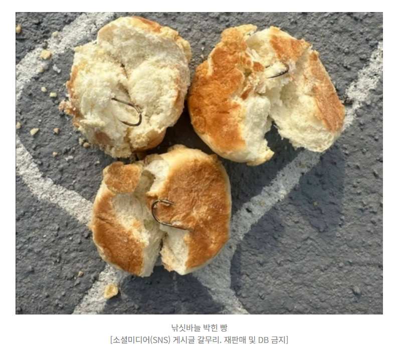 【韩国6旬男性向狗狗乐园投掷