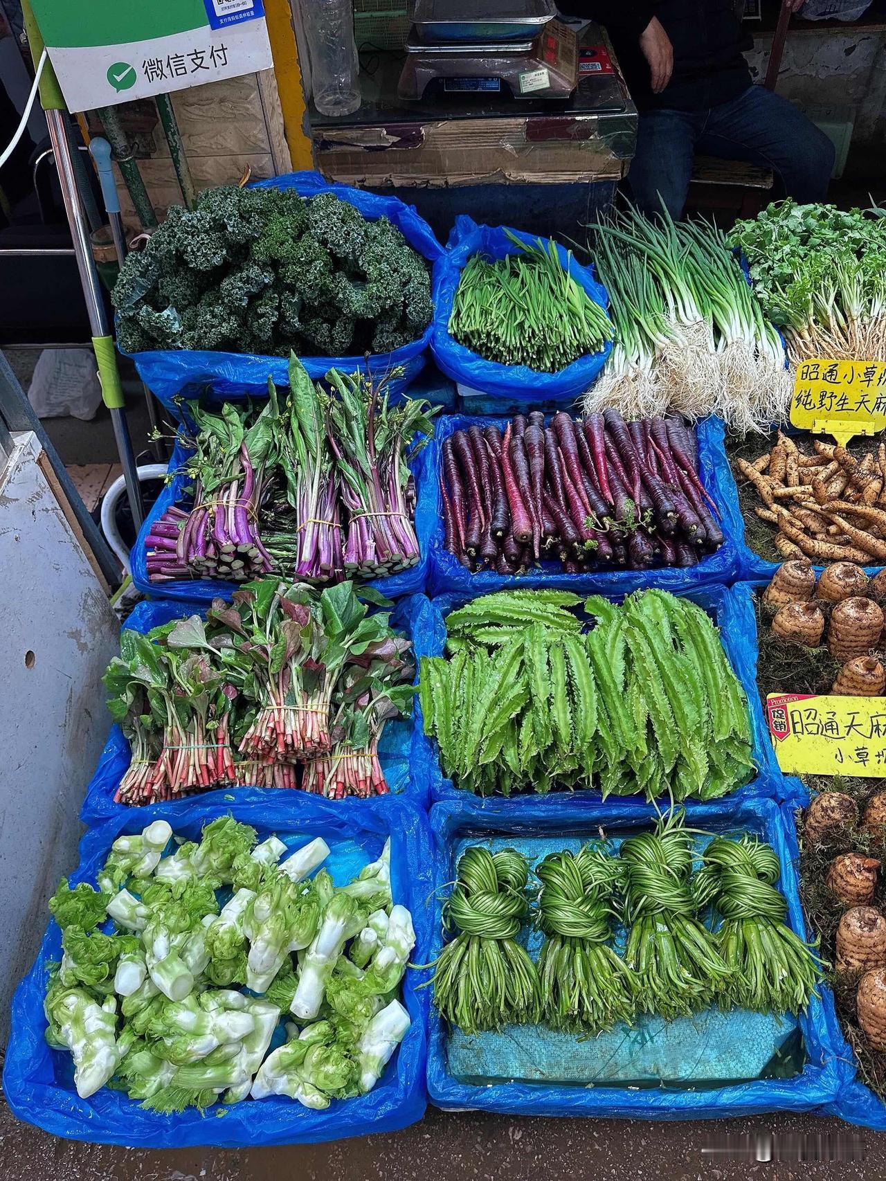 昆明神奇市场蔬菜大揭秘，本地人都认不全！云南菜市场真的像藏满惊喜的宝库，逛一