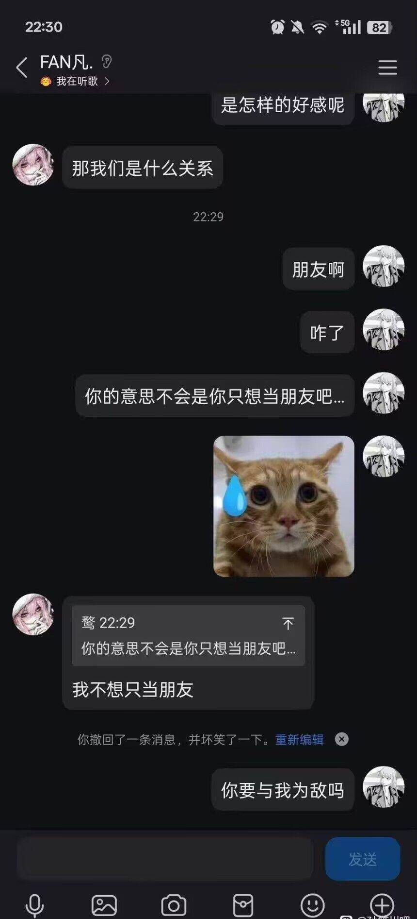 你要与我为敌吗