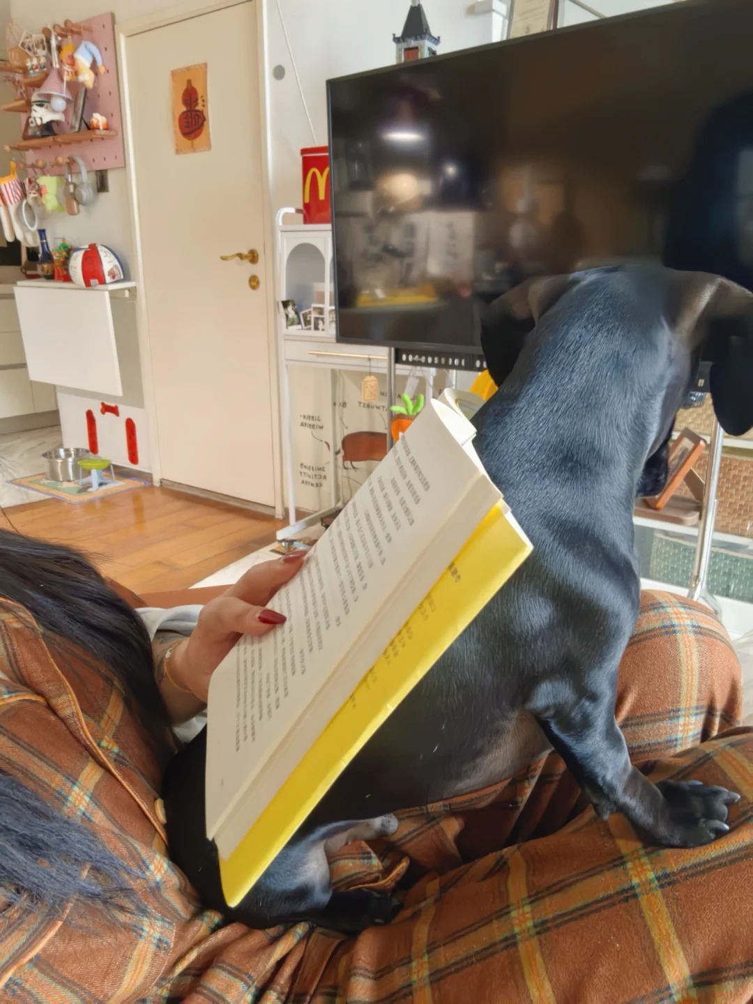 发现了最好用的书架