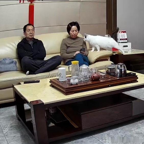 哎呀我真是服了这个必须得剪个视频真是超绝谄媚豚无语至极了难以置信的腻歪