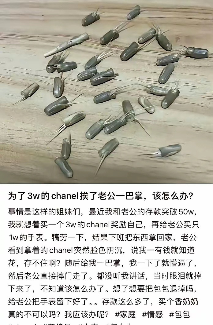 这五十万里面但凡有5万是女方工作攒下来的，她都不舍得买那么个破包包​​​