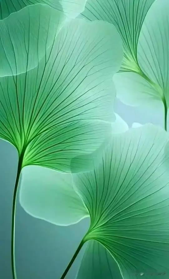 人生如行走在一条漫长而蜿蜒的修行路上，身心的调和才是真正的财富。真正的幸福，绝非