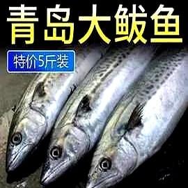 分享城市新鲜事掉价的鲅鱼今天早上九江路农贸市场的小鲅鱼十五元一斤，大鲅鱼二