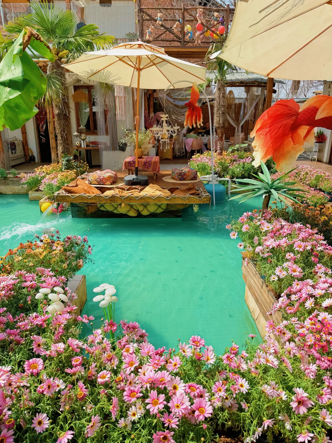 谁懂啊❗️西安居然藏了个“小丽江”新晋拍照地