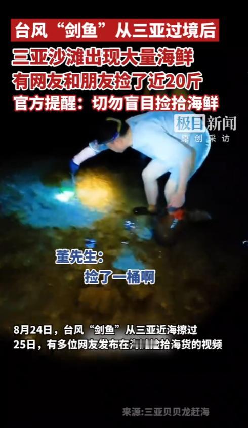 “简直就是在捡钱！”8月25日，海南三亚，一男子在台风过后，立马过去赶海，一个小
