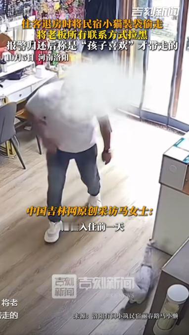 河南洛阳，男子一家三口住民宿，临走时，将民宿一只价值3500元的猫偷走，老板发现