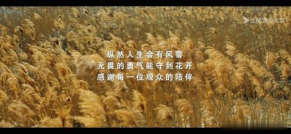 恭喜成毅，又多了一个人生角色。《长安二十四计》全员恶人且全员智商在线，复仇的路上