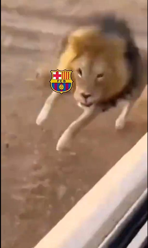 马竞丢掉国王杯冠军，巴萨居然是第一支向皇家社会发出祝贺的球队，要知道皇家社会可是