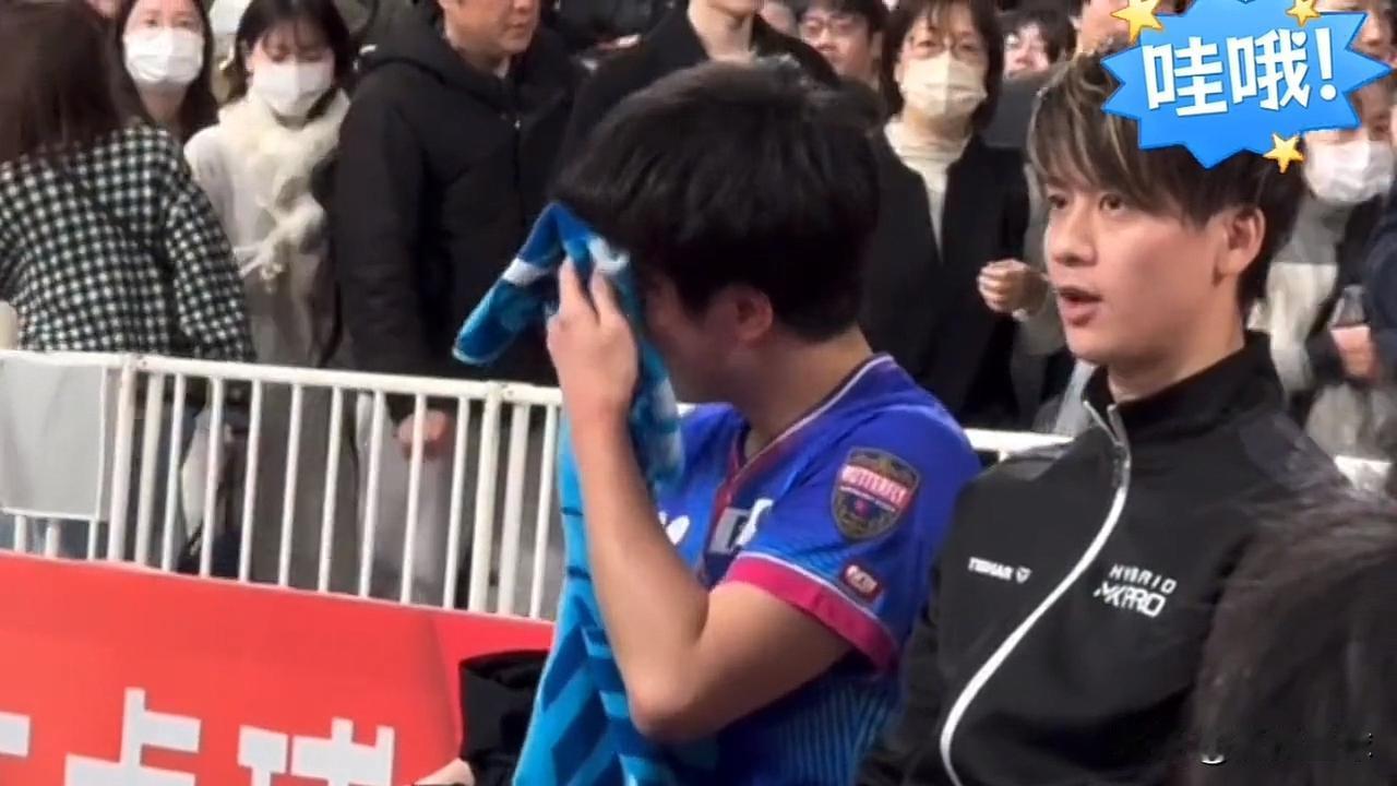 张本再输松岛：赛后“又又又哭了”日乒全锦赛半决赛，张本智和和松岛辉空提前上演