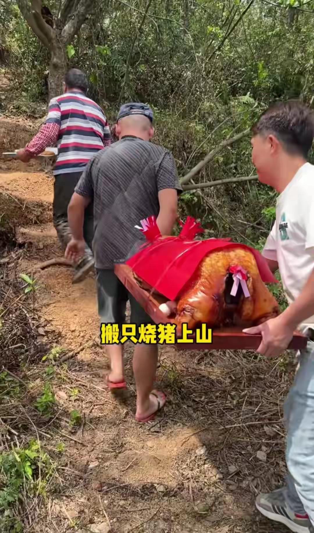 港星黄一山清明广东祭祖，真的抬整只烧猪进山，场面太长见识了！华南F3广东广西海