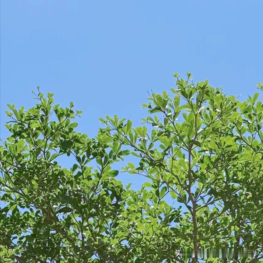 重庆：执纪审查1人 5月6日晚，该市执纪审查1人，为酉阳县原官员杨通胜。 