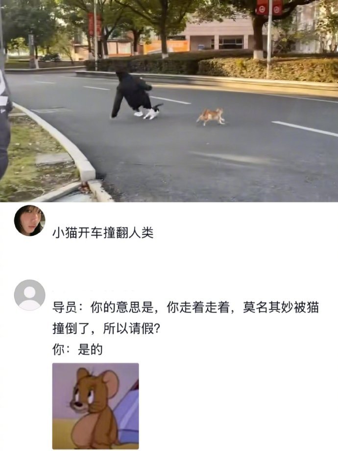 小猫过肩摔男大学生[doge]​​​