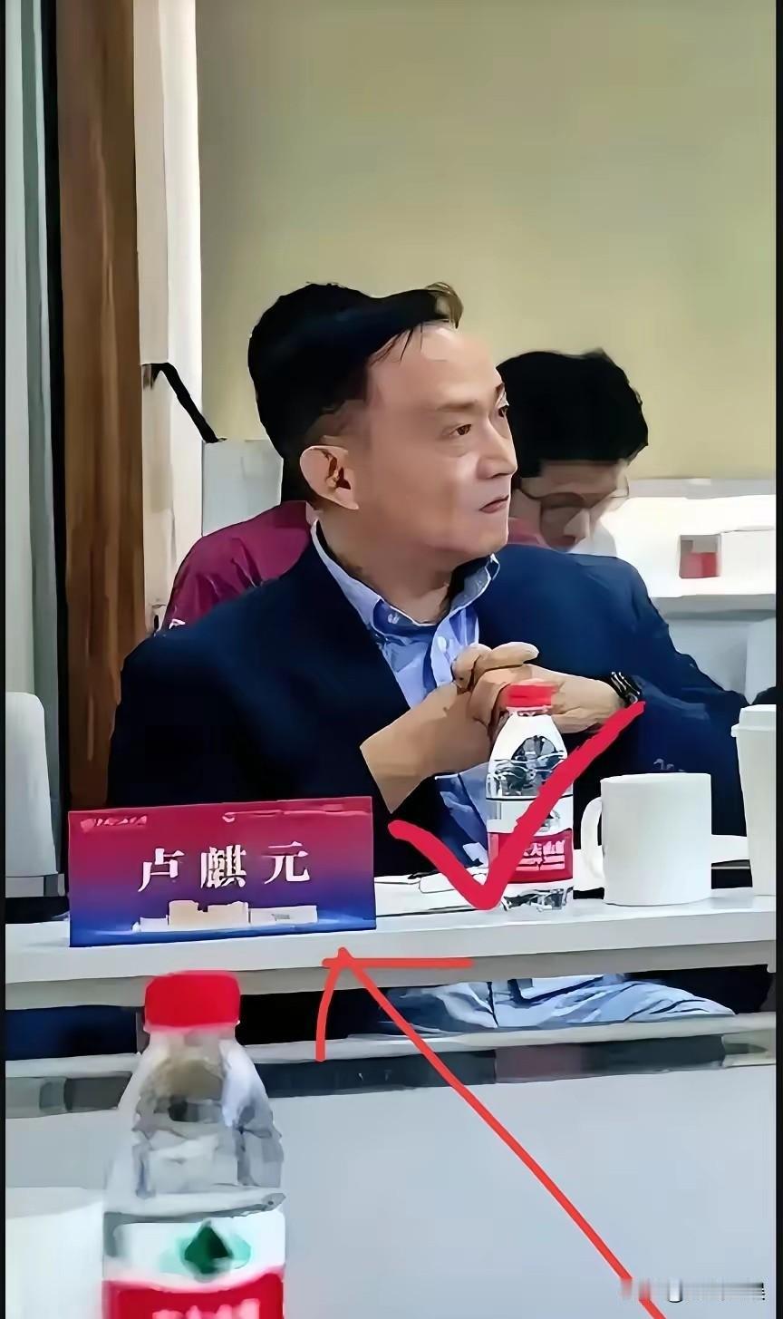 卢麒元这桩事，越想越觉得憋屈。他挖到经济疲软的根源是“走资”，戳中了利益集团的痛