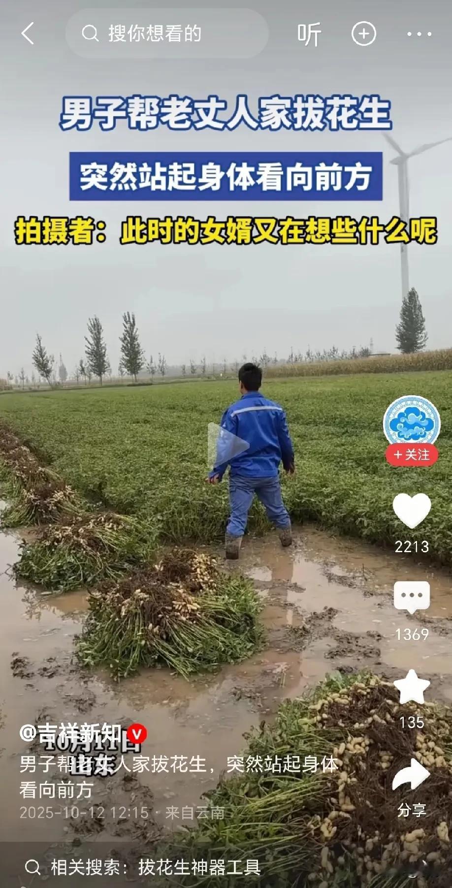 山东，男子帮老丈人家拔花生，中途突然站起身体看向前方，不知道此刻女婿在想些什么，