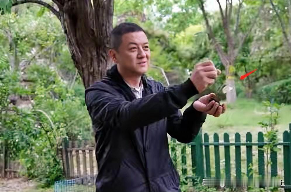 说句真心话，我很烦李亚鹏，钻戒大骗局，闷死一地蝴蝶，他的短视频也只适合用来磨练心