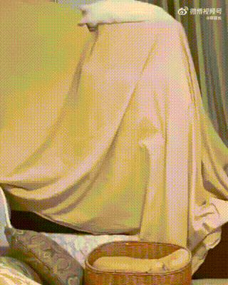 不尴尬不尴尬宠物卖萌中心​​​