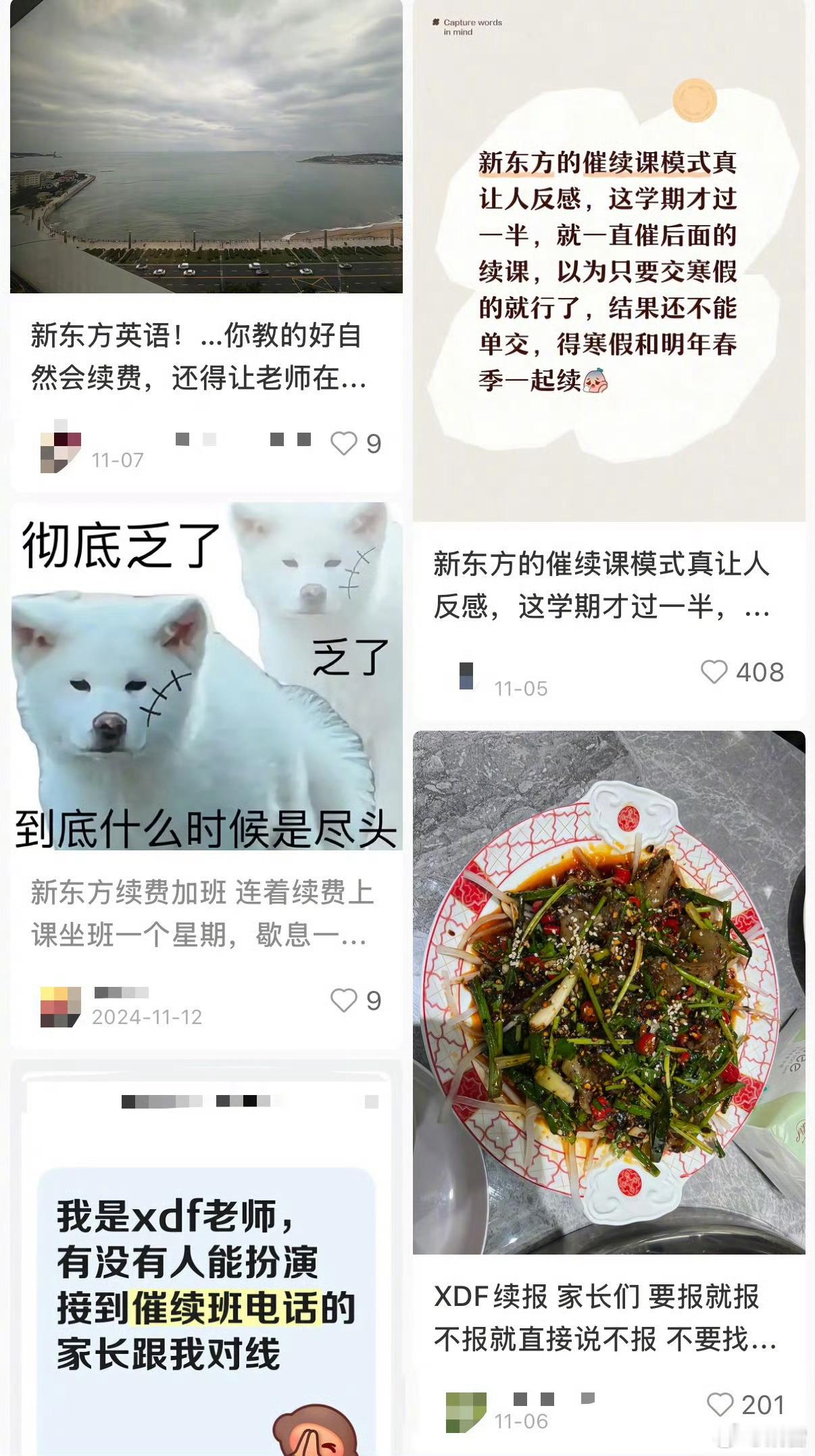 站在南极，我看到了企鹅在冰雪中努力生存——这一看，就是女秘书起草的，估计坐在办公