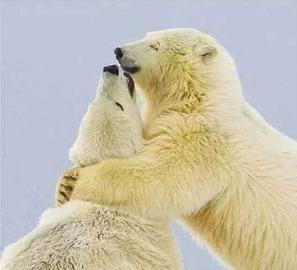 神鹰400不是导弹。是火箭弹，东大还一款射程超500公理的远箱火，覆盖台湾省。虽