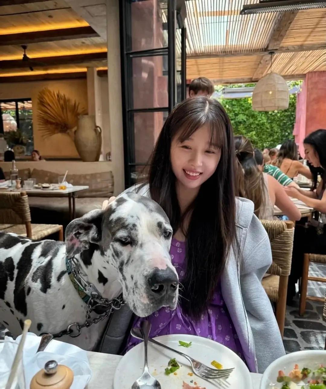 这是怕狗？​​​