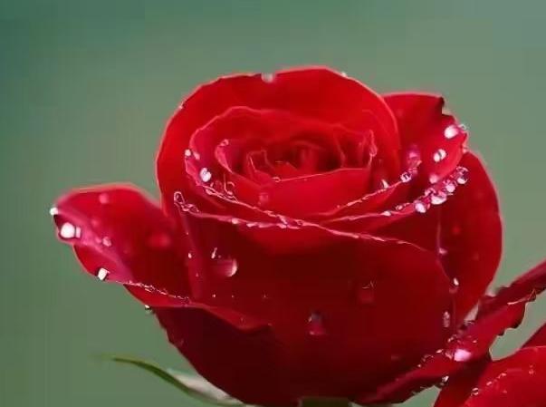 自从岗位竞聘后，我由原来的副高级教师七级岗位上升到了六级岗位，原本跟我关系很不错
