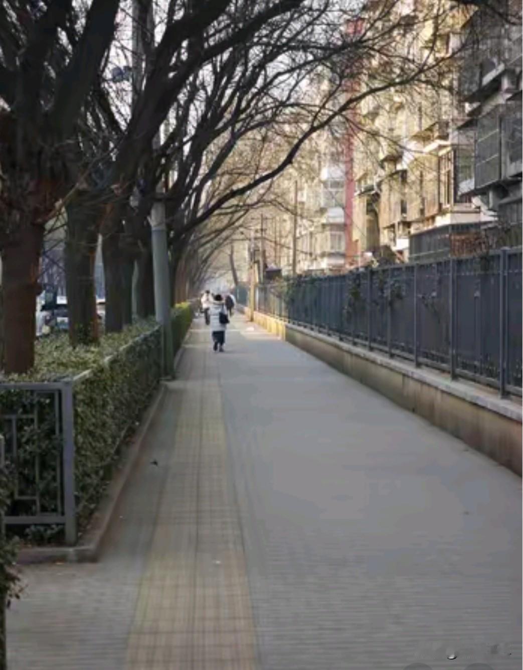 村里一位五十多岁的老实老汉，大半辈子都在盼着有个枕边人。相亲无数次，从来没人踏实