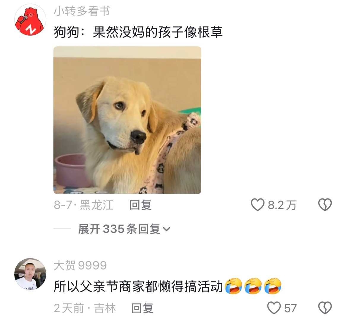 狗狗：日子怎么可能跟谁过都一样呢