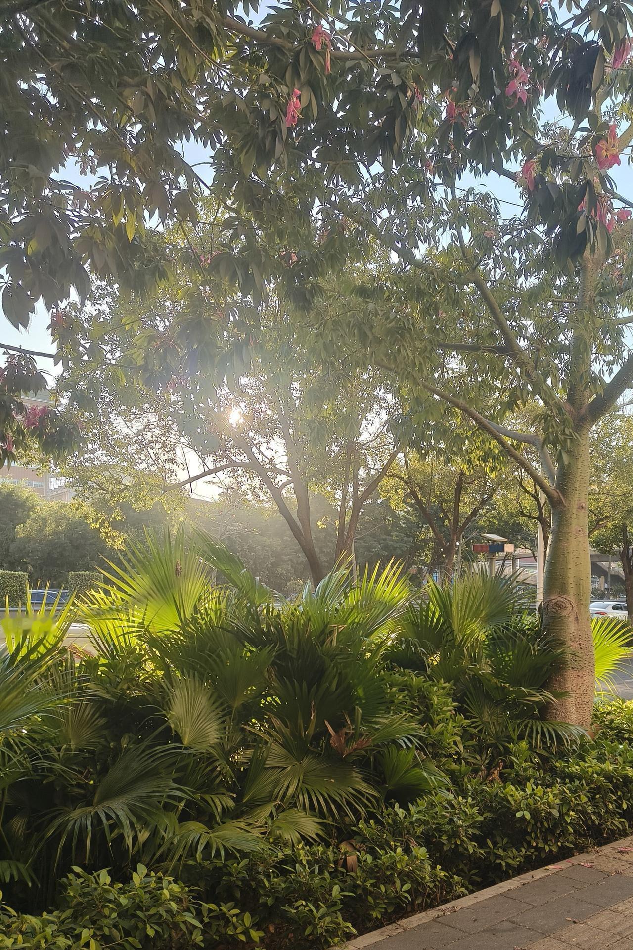 “绩效垫底、岗位消失、通勤变两小时”——三连招下来，不少人自己交辞职信，还以为是