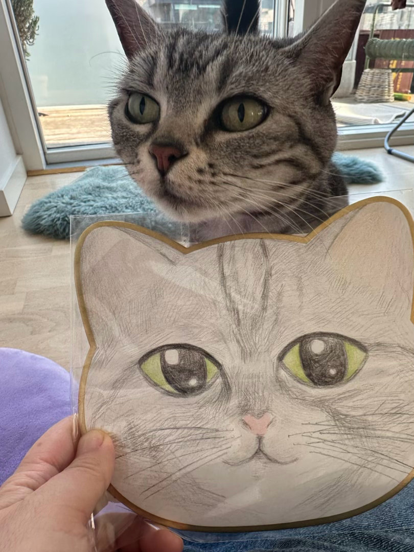 收到的照着我家猫画的猫猫手绘色纸，Morris说喜欢😘