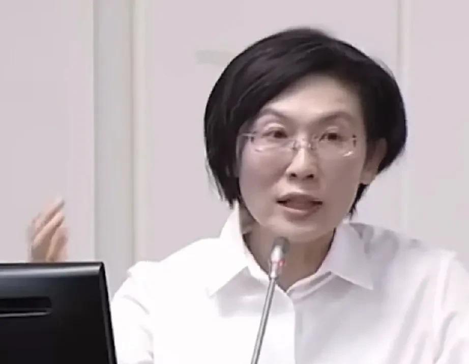 台湾地区经济部门负责人郭智辉表现实在太差，甚至就连他们自己人、民进党立委林岱桦都