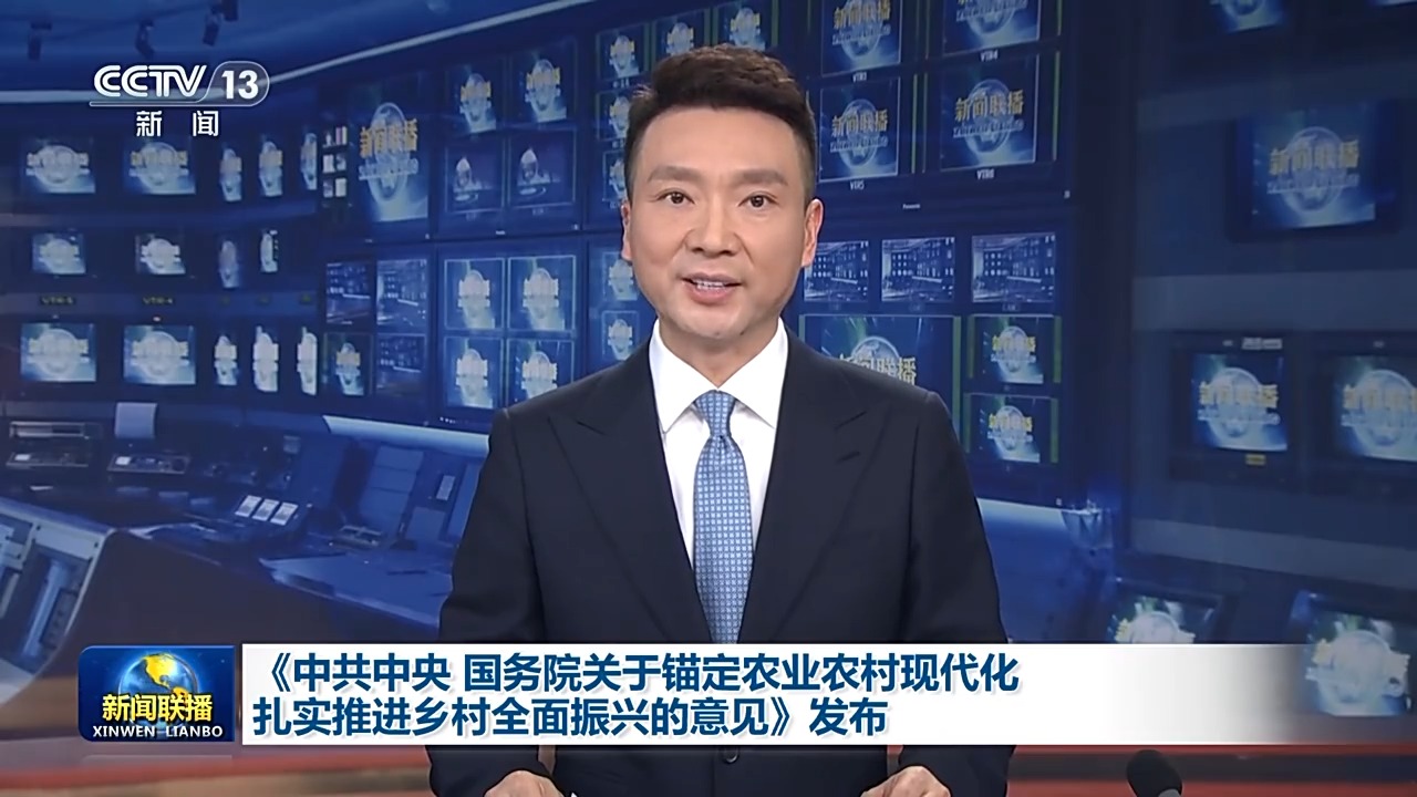 2026年中央一号文件：关于做好全面推进乡村振兴重点工作的意见