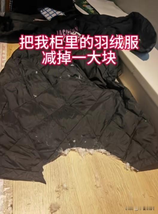 大妈将“损人利己”展现的淋漓尽致！1月5日，河南的一位大妈在商场里翻找布头，看到