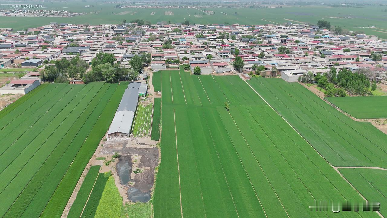 河北邢台养殖污水直排耕地？2026年5月底，“中国零鸟网零电鱼零兽夹零野味零垃圾