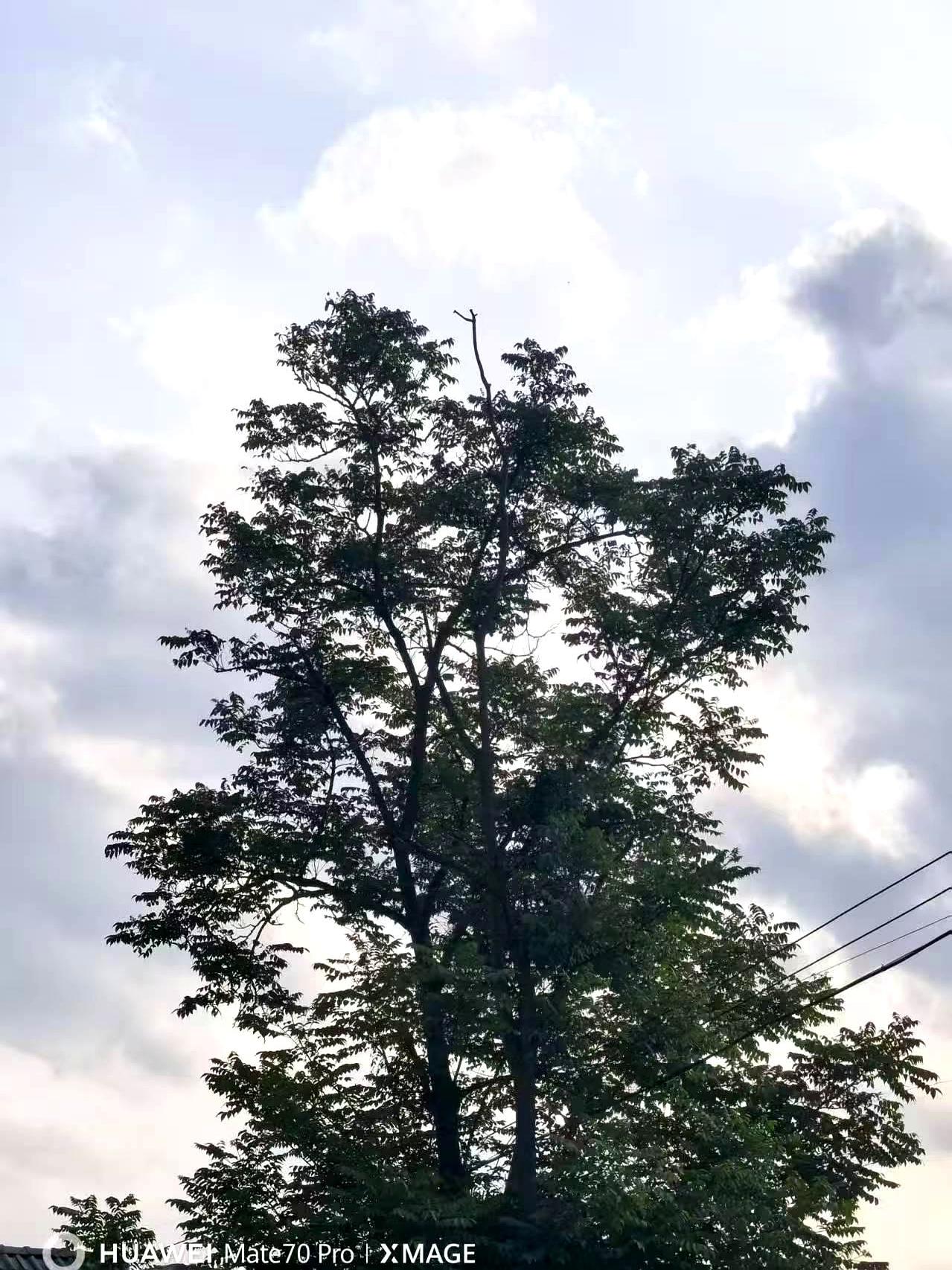 你有没有发现，那些天天把孩子关在家里的父母，自己连个像样的朋友都没有？这事儿我