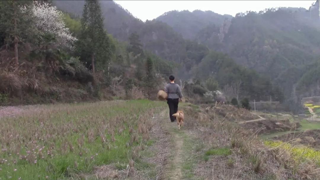 人为什么要积德行善？年轻的时候，总觉得因果之说太过虚无，做事全凭一腔意气，从