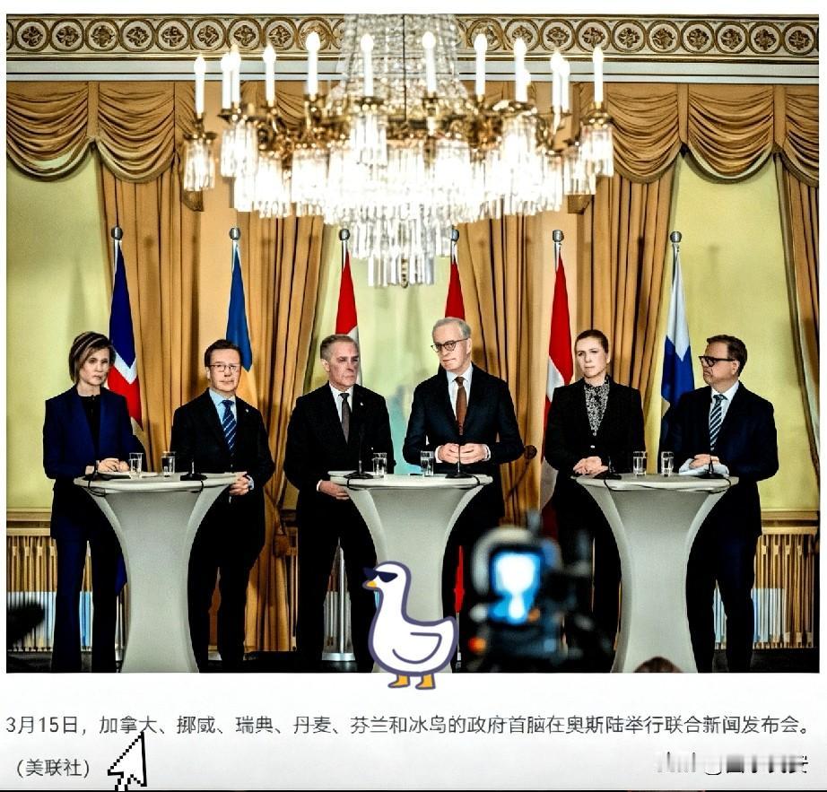 美盟友集体反水！六国建中等强国联盟硬刚美国加拿大携北欧五国签奥斯陆协议，另