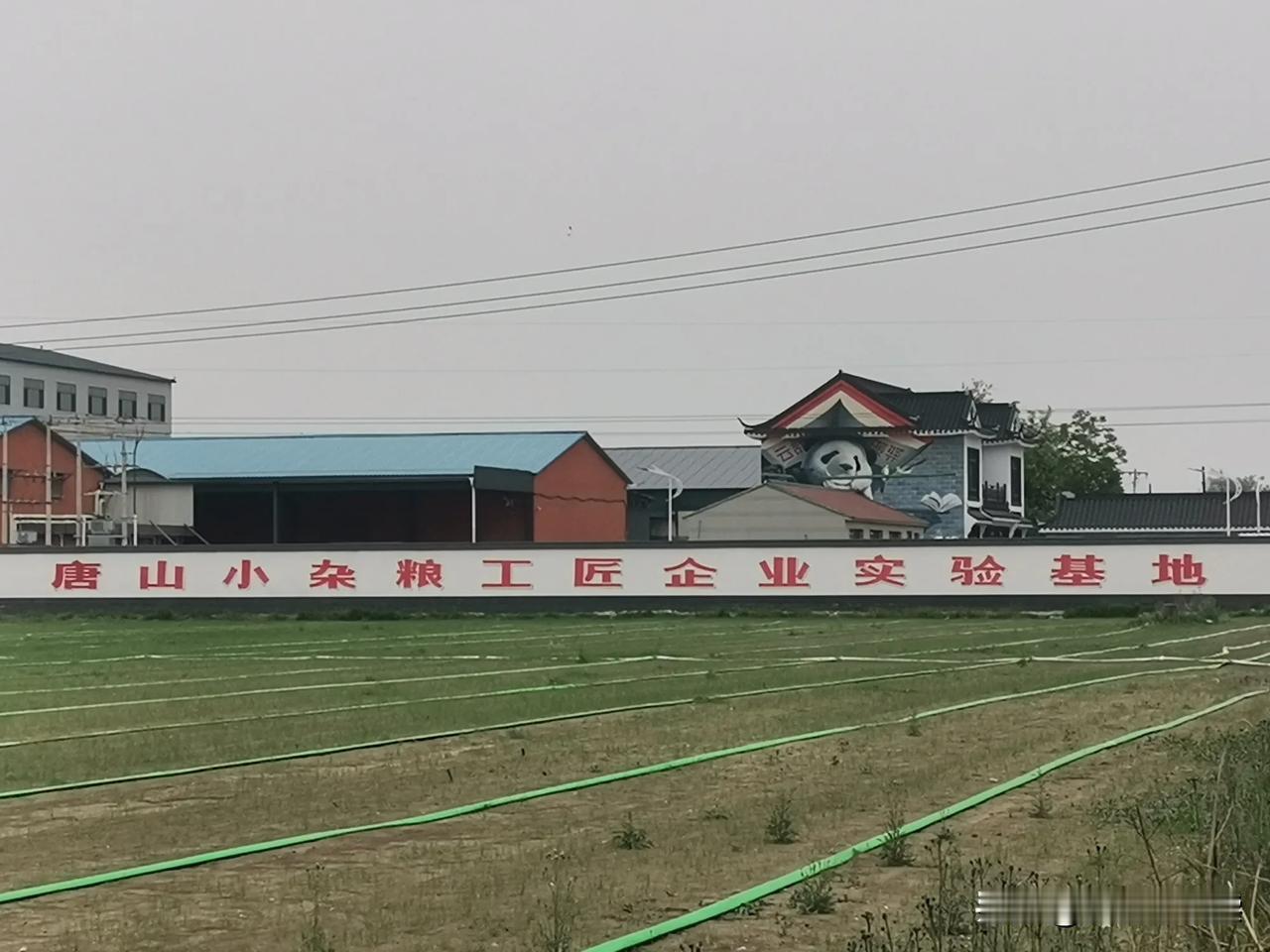 恕我无知，“小杂粮工匠企业”是啥意思？路过一个村庄，村头一家批发小杂粮的大院子