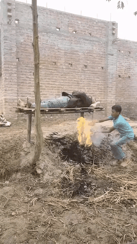 虽然这是一个搞笑的视频，但是看起来还是很可怕的，老外玩的这些游戏，口味都是很重的