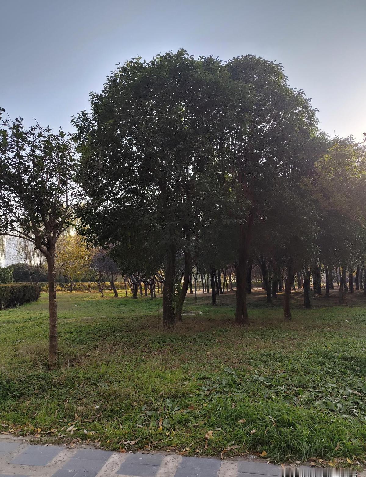 手握5000多退休金，却为了吃根两块钱的香蕉还得看子女脸色，被严词拒绝，这到底是