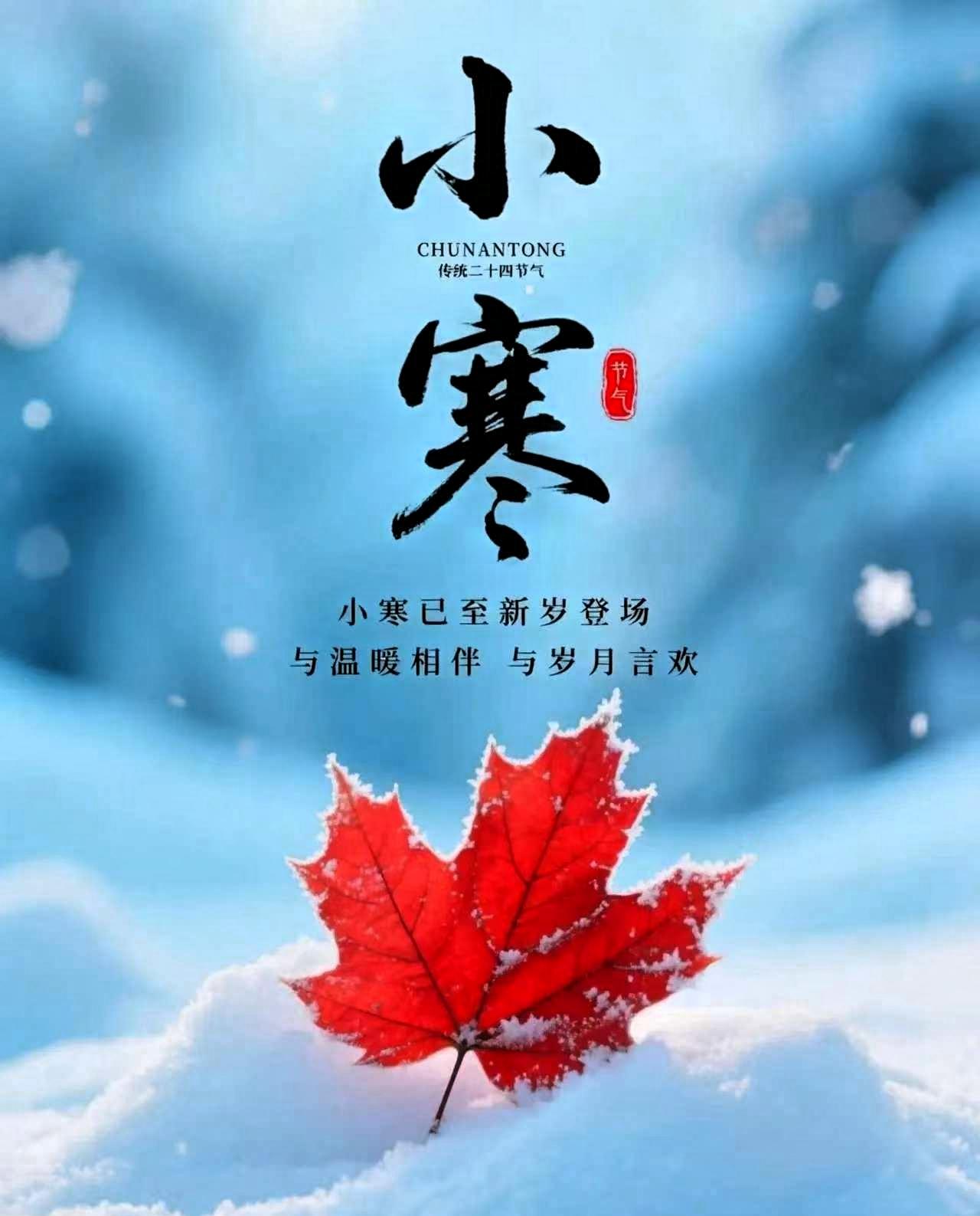 提醒大家，明天就是小寒了！老辈人挂嘴边的“小寒不寒，清明泥潭”，真不是随口
