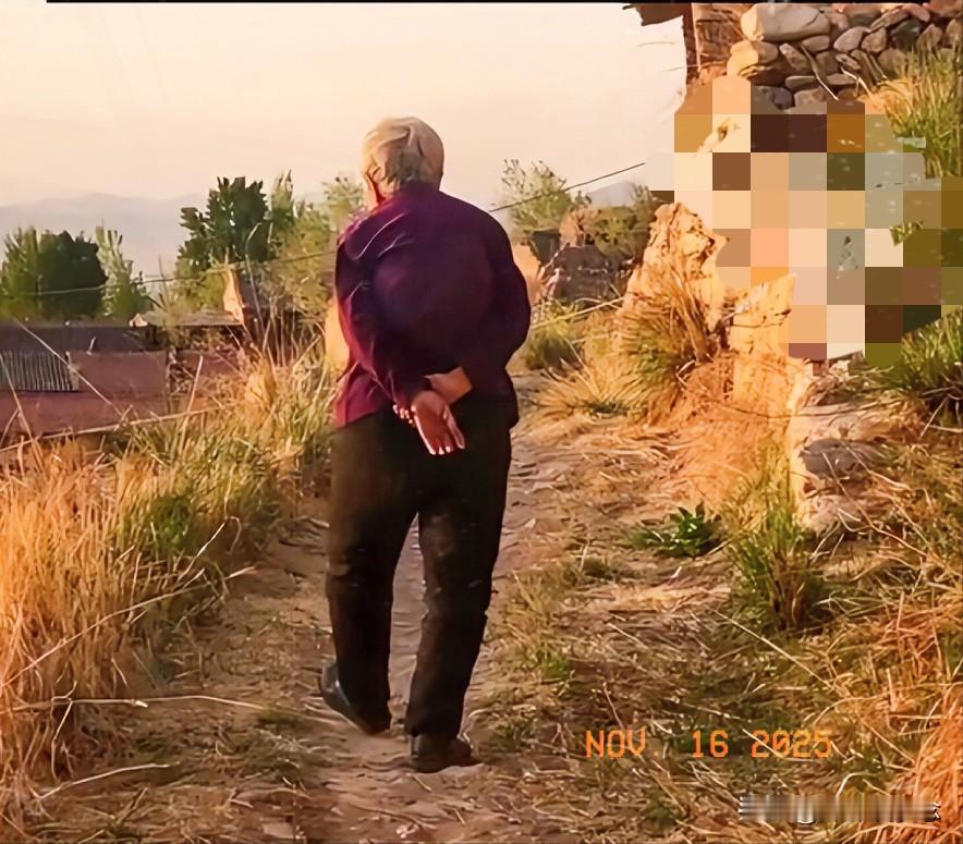 反转来的让人猝不及防，93岁老母亲事后竟掏500块求情“赎儿子”。这剧情