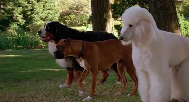 17511566821531120132.jpg?id=0